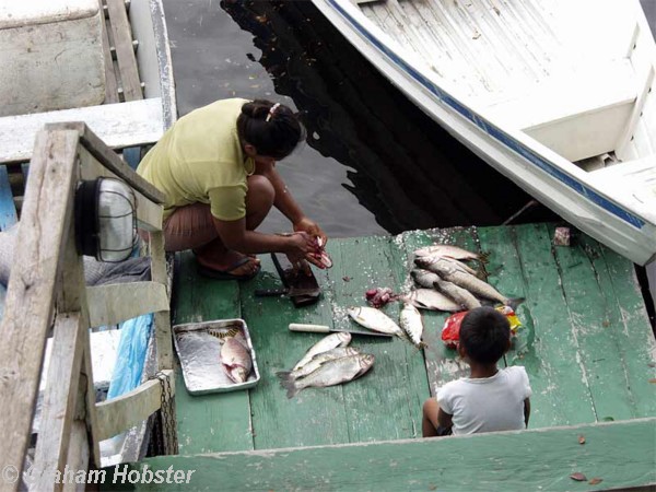 cleaning-fish.jpg
