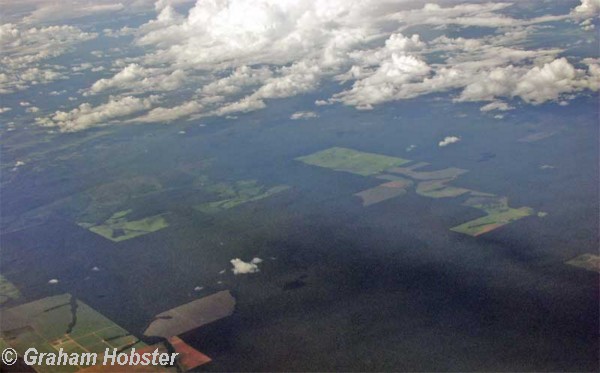 deforestation-3.jpg