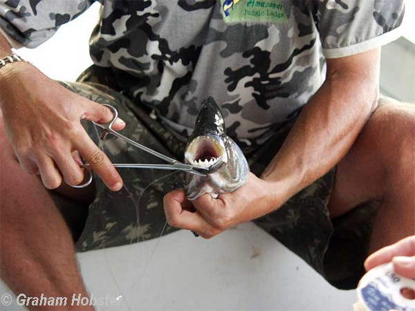 piranha-fishing-2.jpg