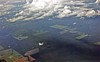 deforestation-3.jpg