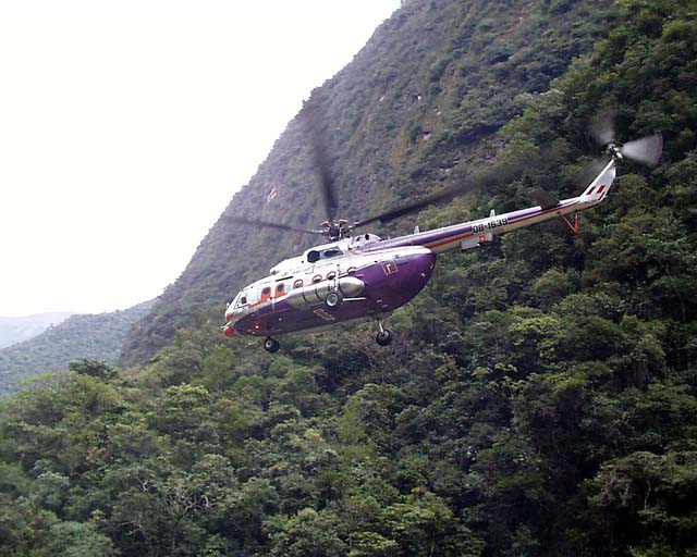 helicusco12