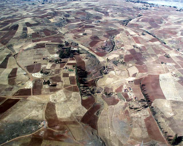 helicusco84