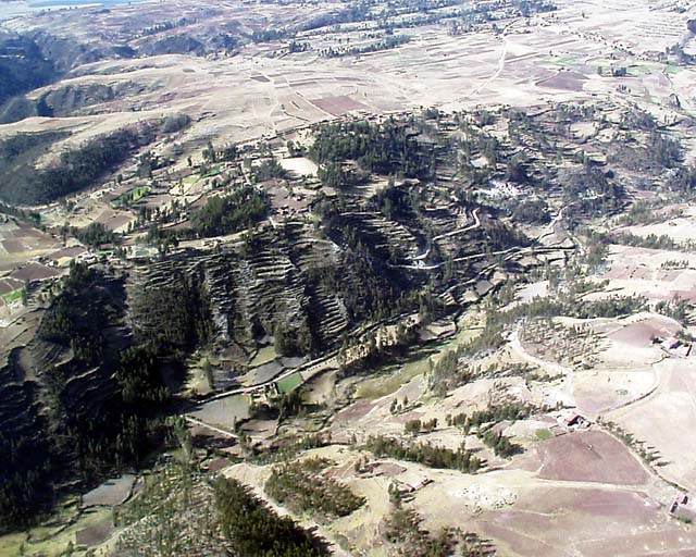helicusco86