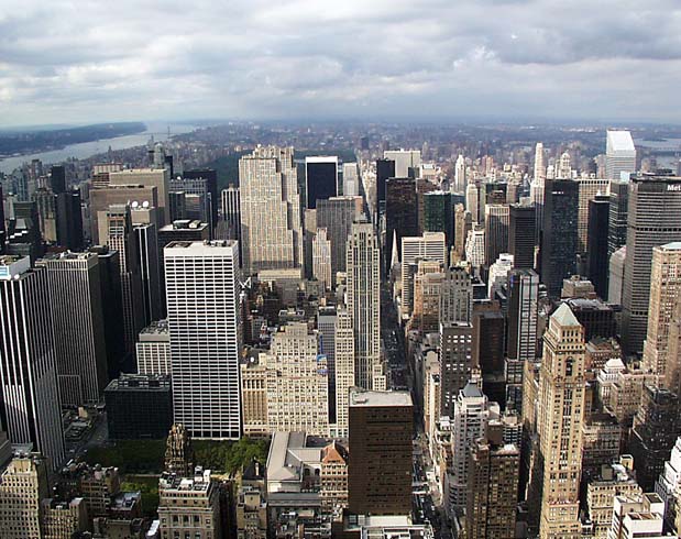 New York41