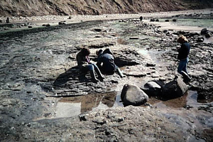 BoggleHole14