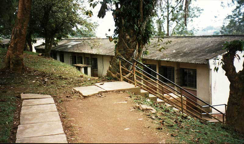 Kololo - Buildings 1.jpg