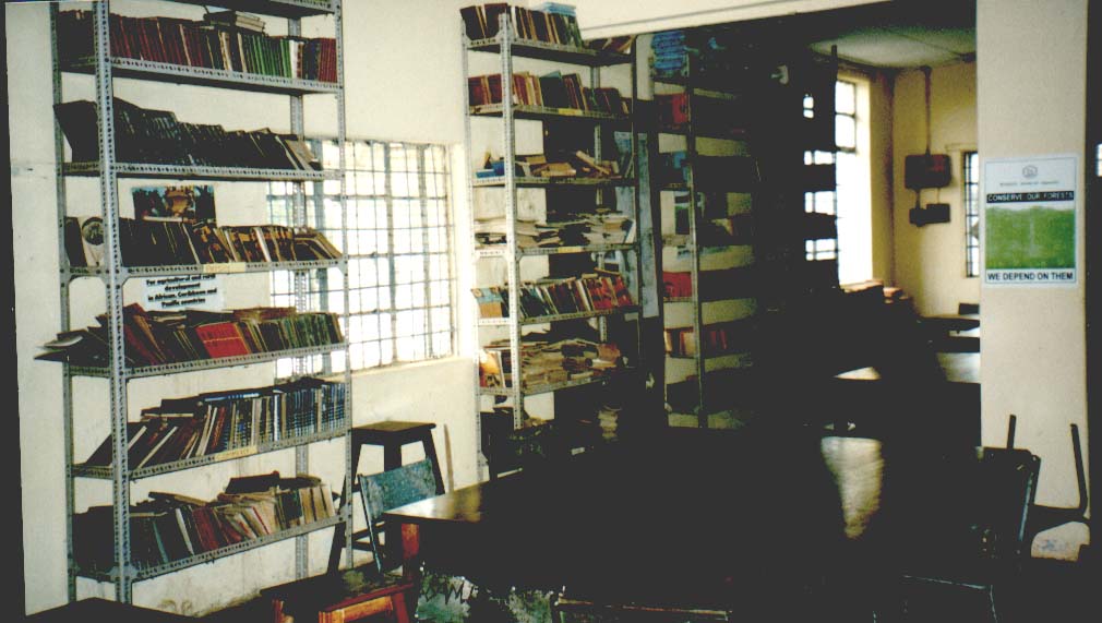 Library.jpg