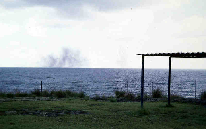 lake flies.jpg